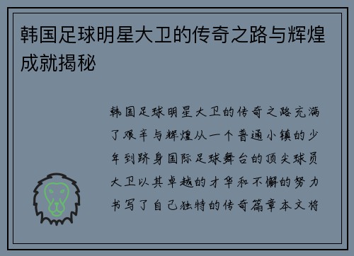 韩国足球明星大卫的传奇之路与辉煌成就揭秘
